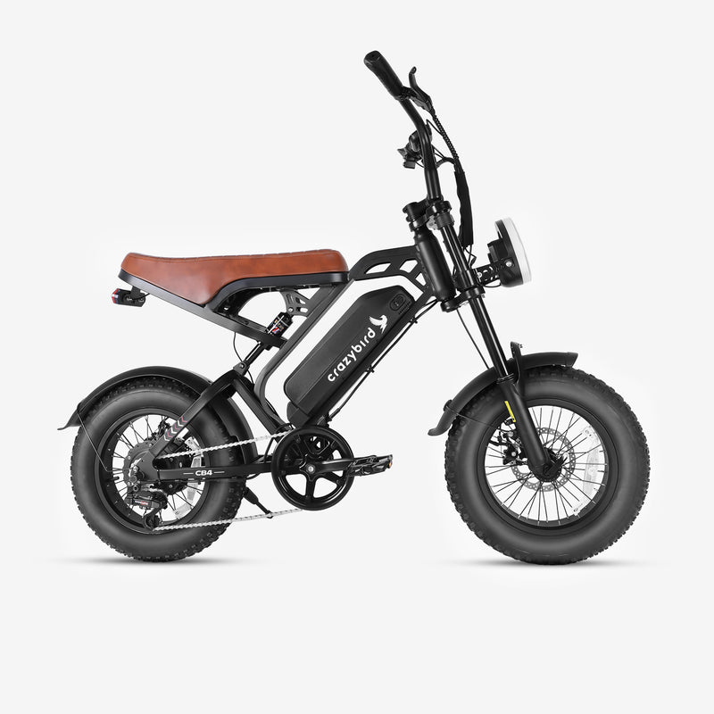 Crazybird CB4