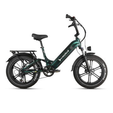 Crazybird E20 Vélo électrique