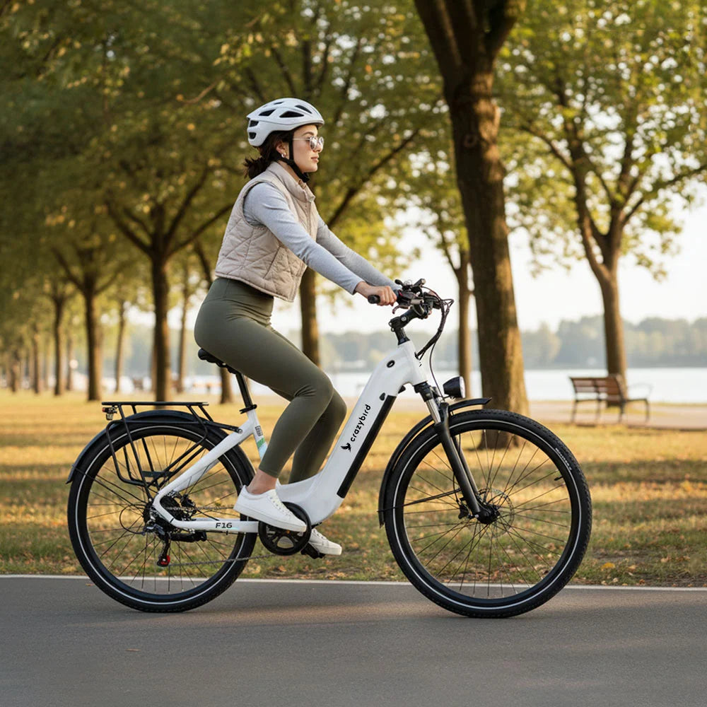 Crazybird F16 Vélo électrique
