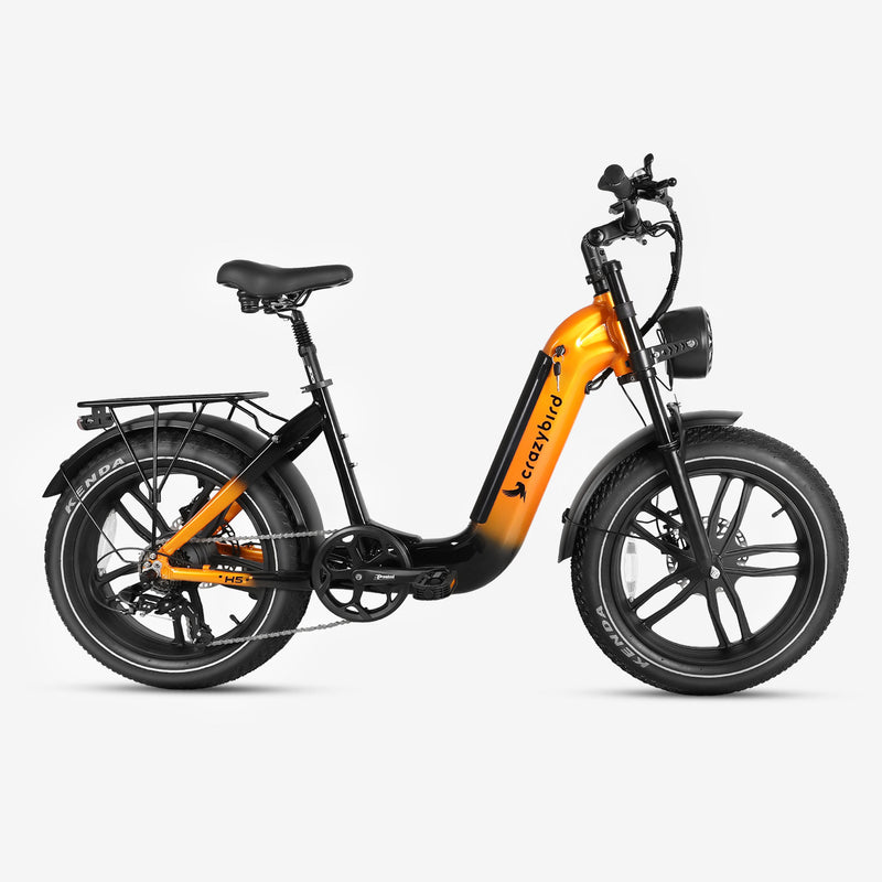 Crazybird H5 Vélo électrique tout-terrain