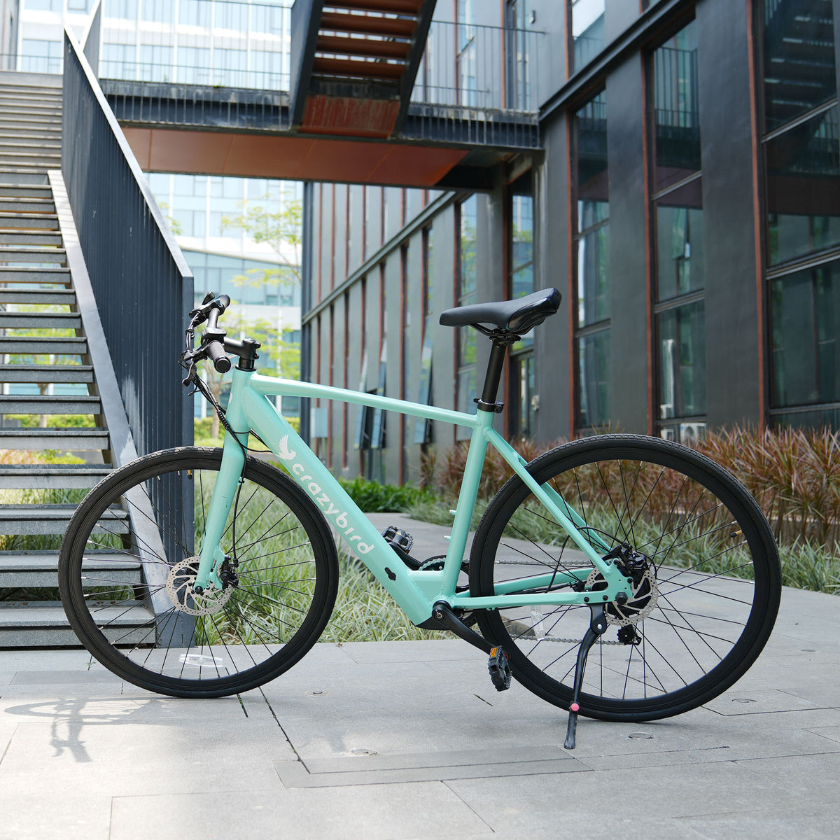 Crazybird CB20 vélo électrique
