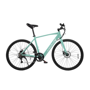 Crazybird CB20 vélo électrique